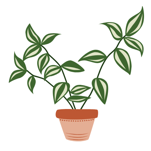 house gardening