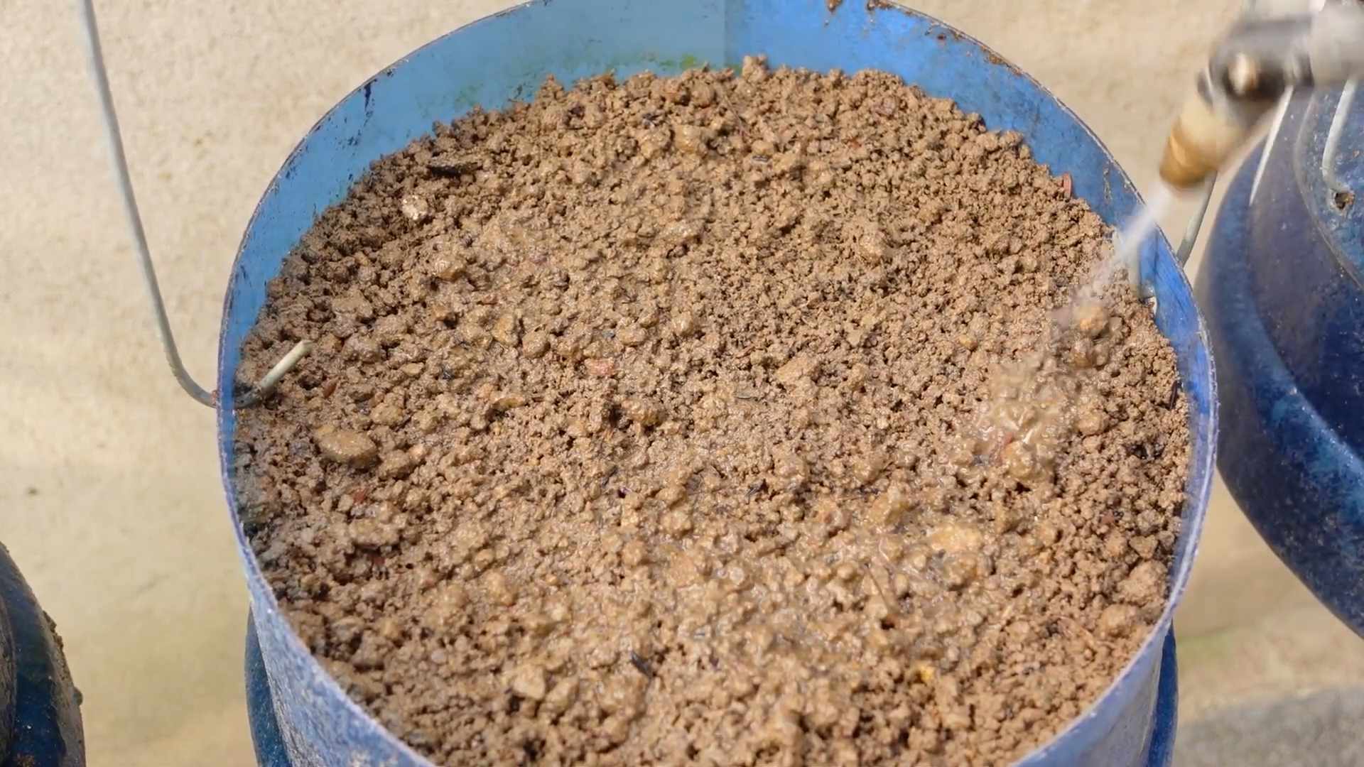 Easy Nutritious Beginner Vegetable