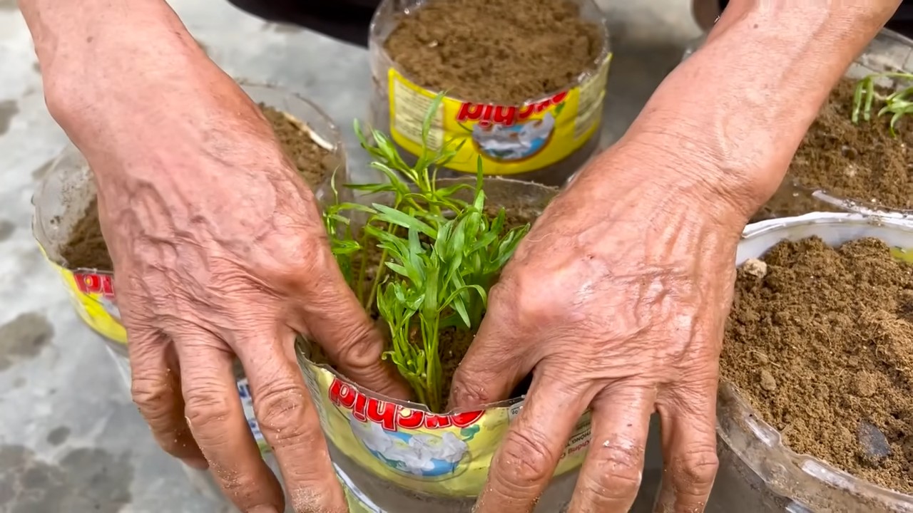 Easy vegetable gardening