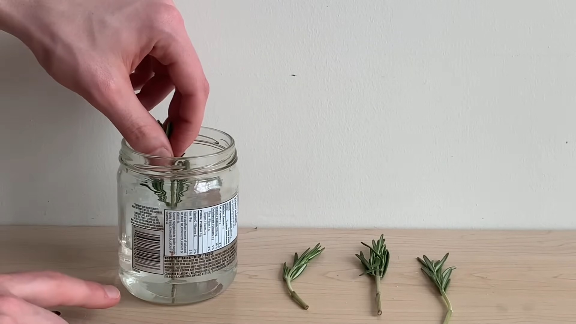 Rosemary indoor gardening kitchen