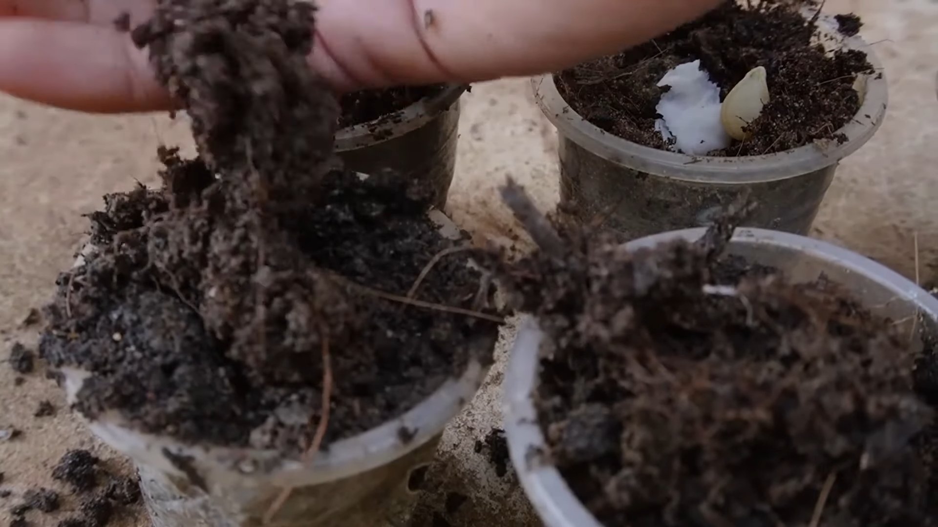 Garden Planting Hack
