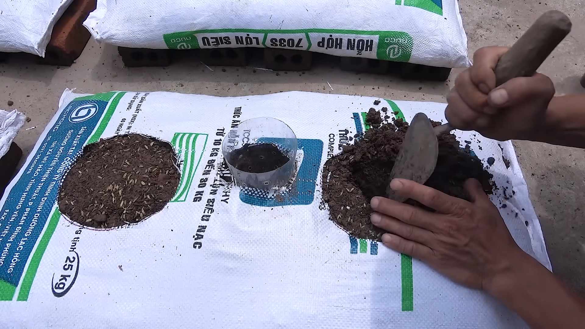 Grow Strawberries Home Garden