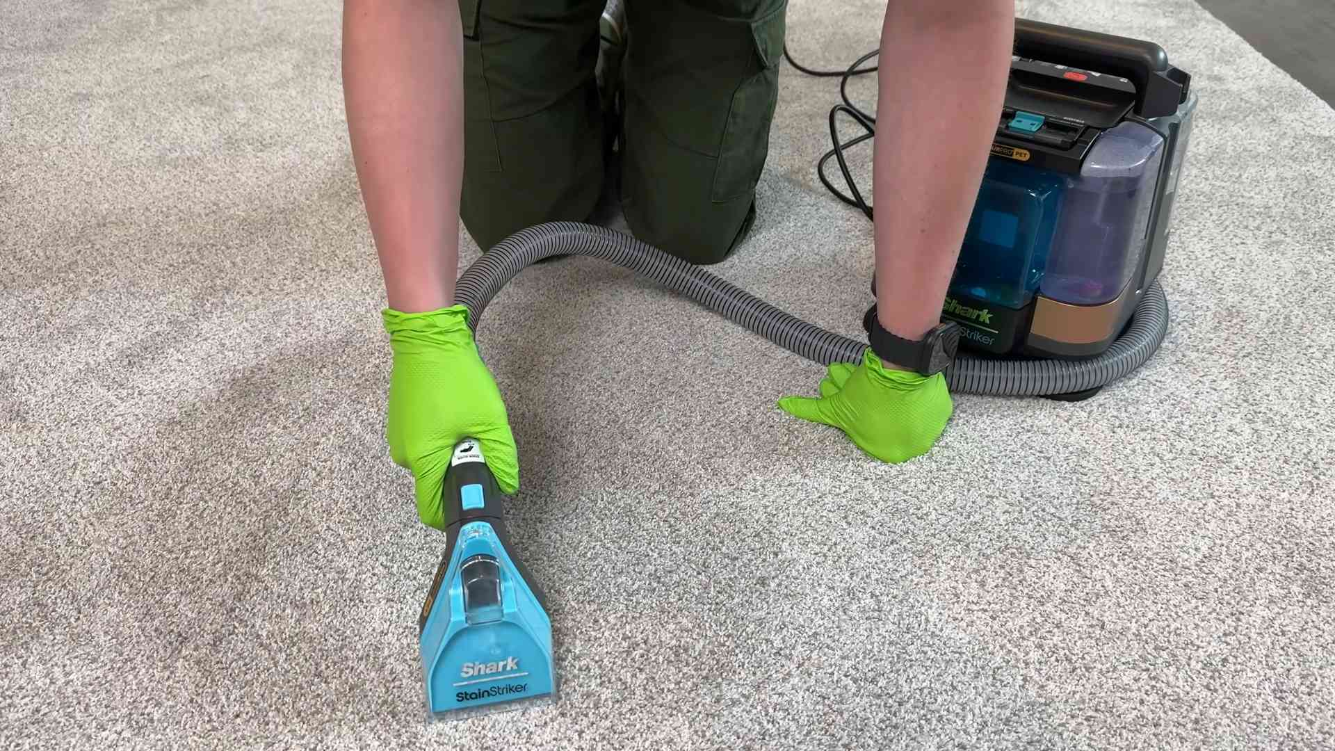 DIY Pet Cleaning Solutions